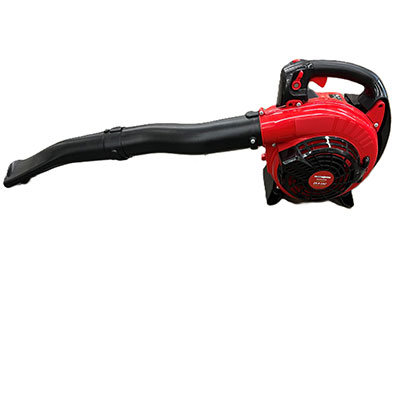 Souffleur de feuilles sans fil 750W